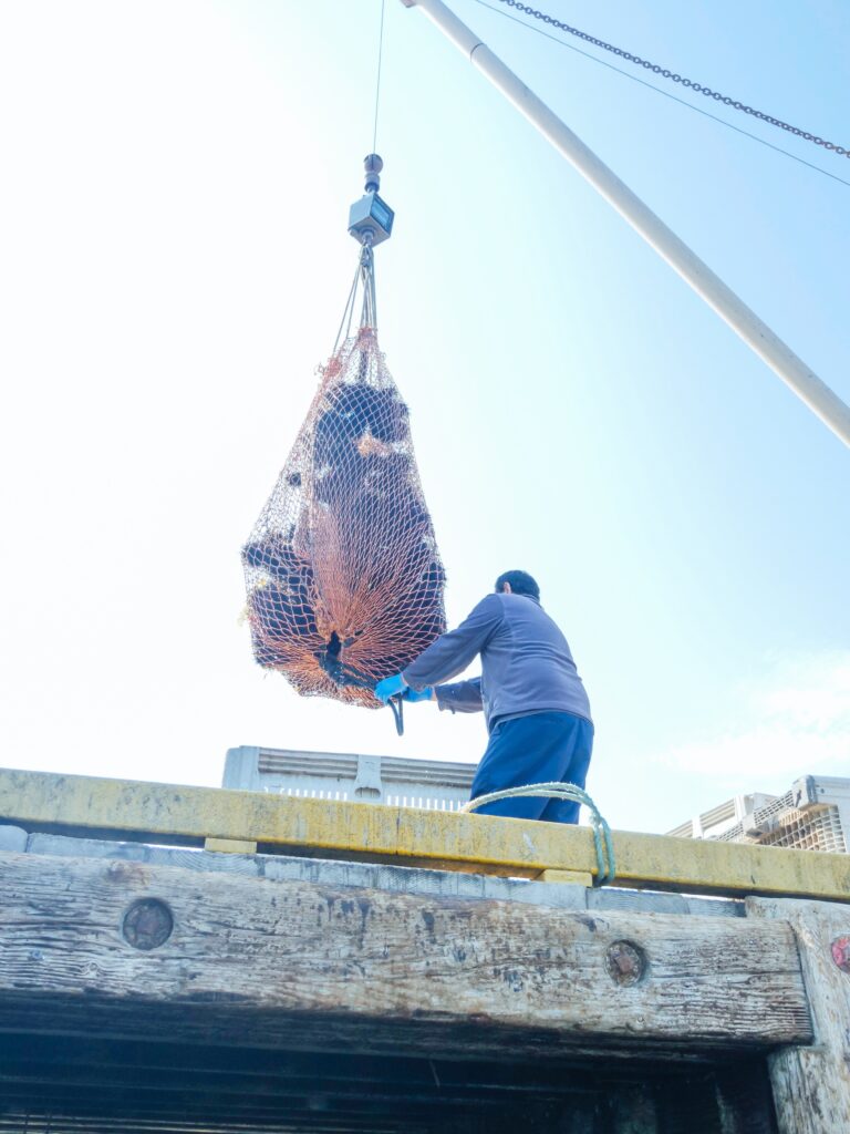 Fischkonsum: Fischfang auf einem Fischerboot