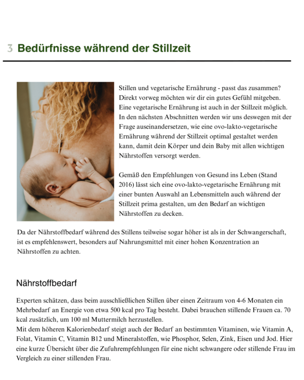 Produktbild E-Book Grünkraftwerk