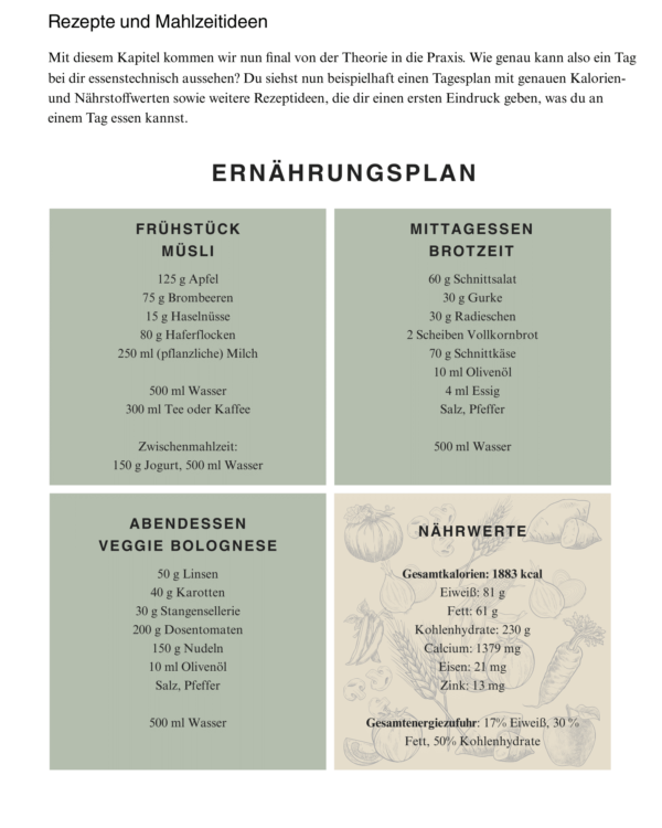 Produktbild E-Book Grünkraftwerk