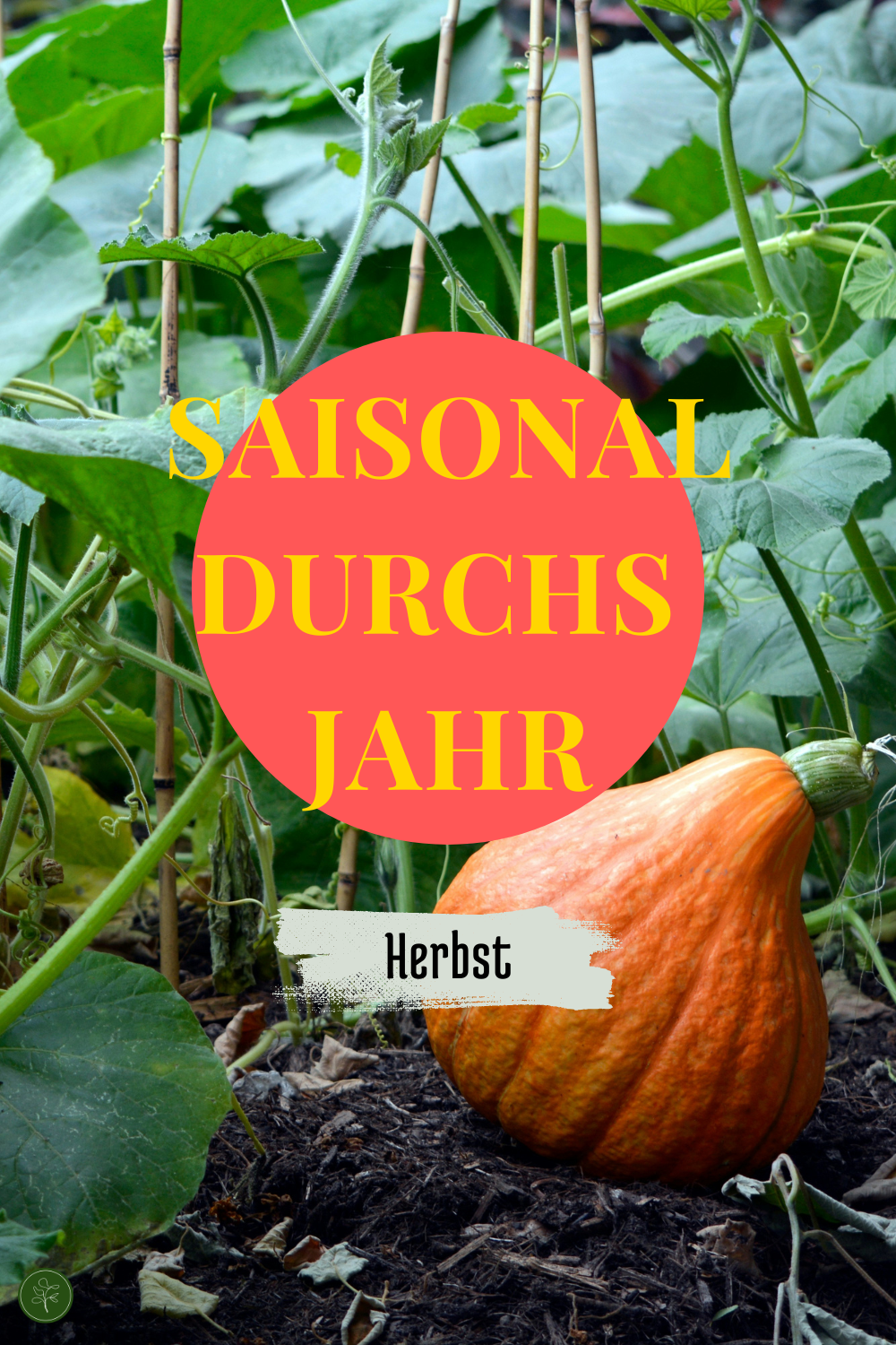 Saisonal durchs Jahr - Herbst