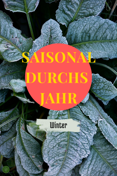 Mit Grünkraftwerk Saisonal durchs Jahr - Winter